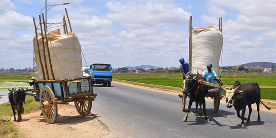 Il mondo in tasca - Madagascar - Itinerario