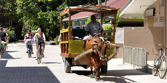 Il mondo in tasca - Seychelles - Itinerario